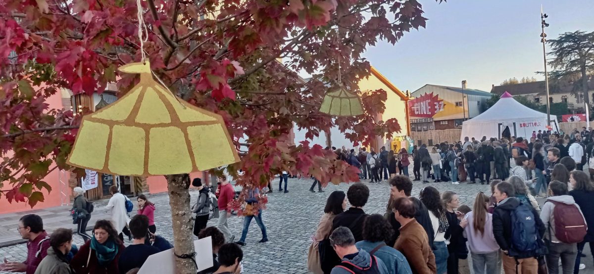 Festival-cirque-actuel © CIRCa