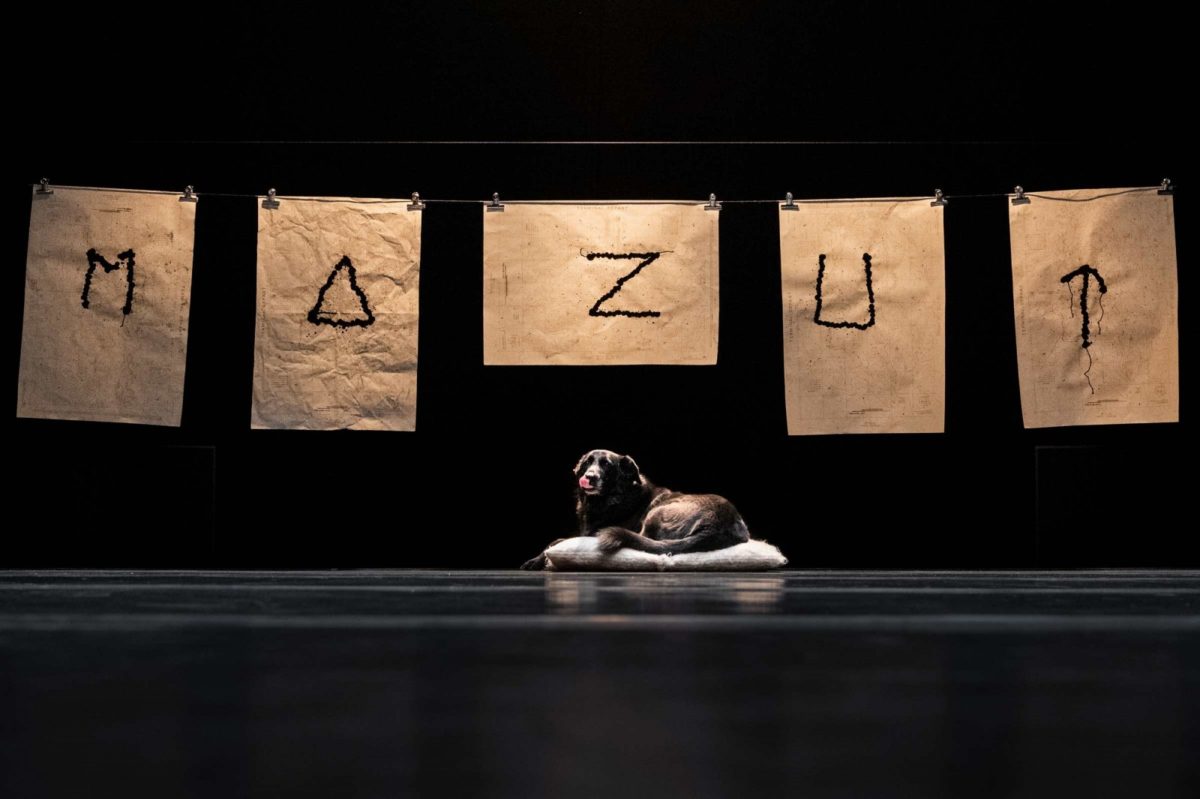 Mazut-compagnie-Baro-devel © François Passerini