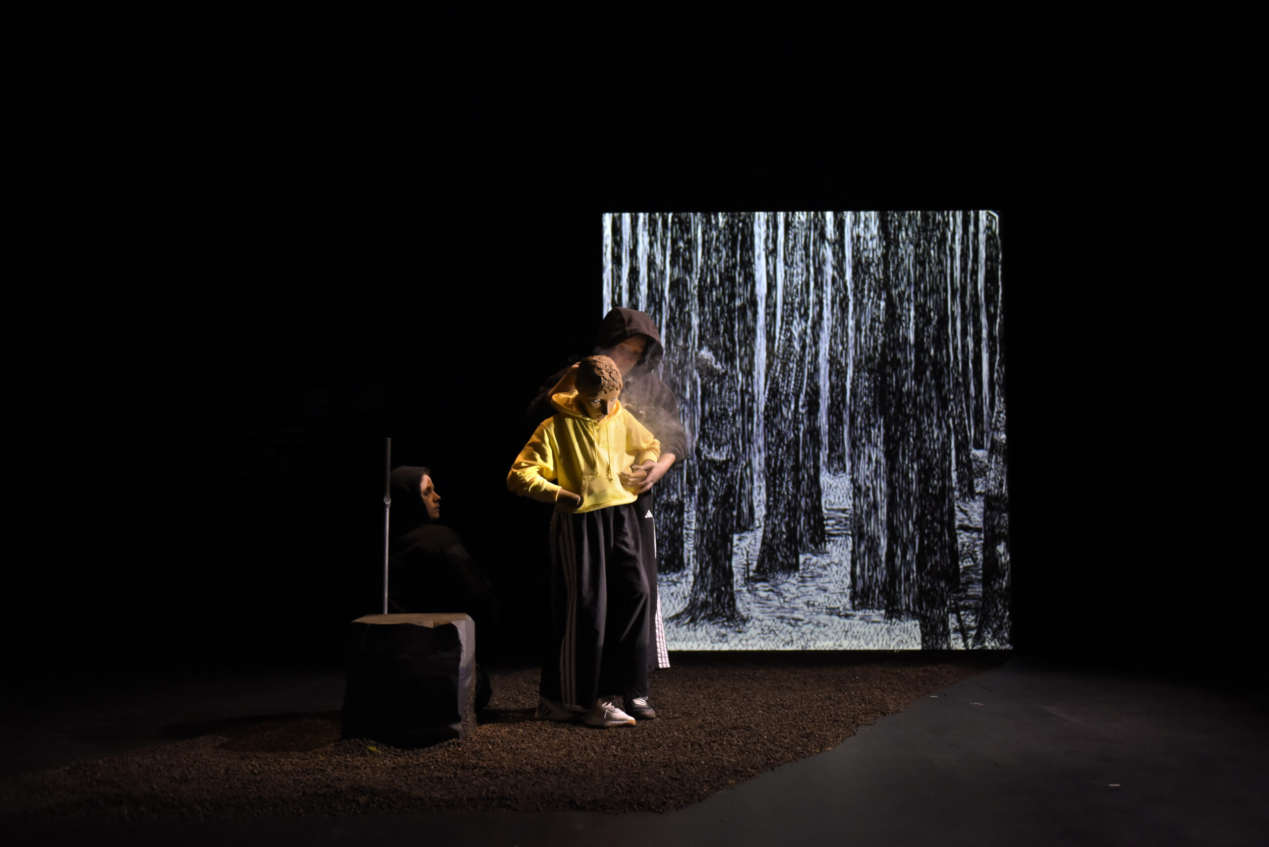 dans-mon-foutu-zoo-collectif-le-printemps-du-machiniste © cynthia-charpentreau