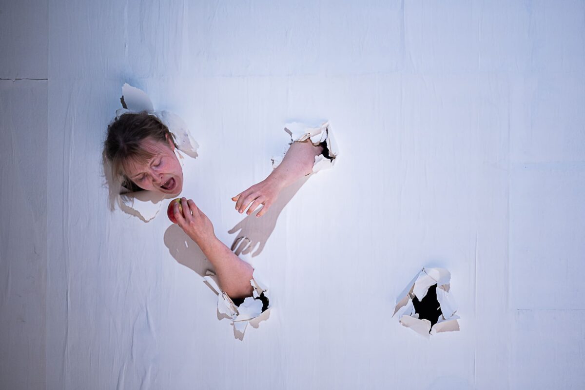 Food-Michael Zandl © JonaHarnischmacher