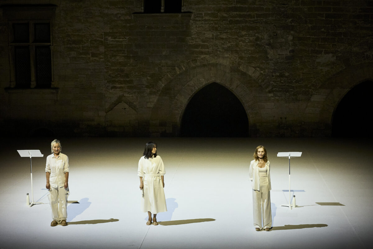 Oiseau © Christophe Raynaud de Lage – Festival d’Avignon