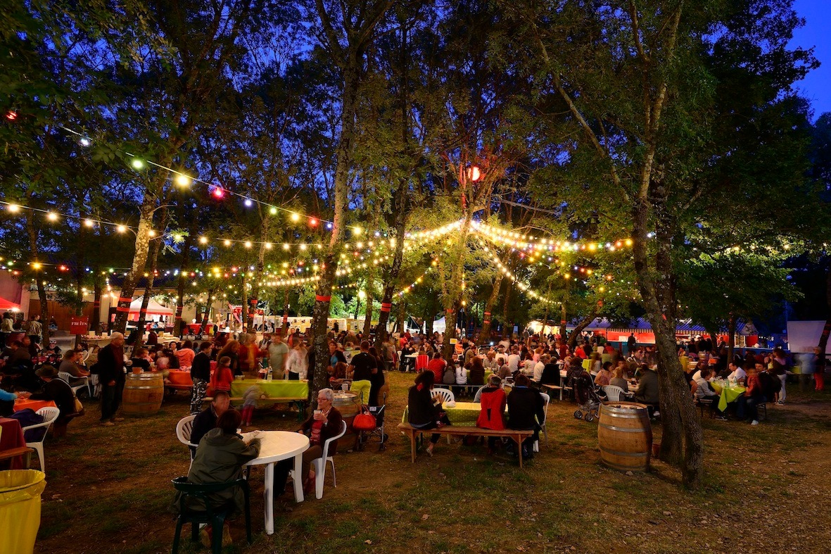 Carbunica-Festival Alba-la-Romaine 2014.jpg